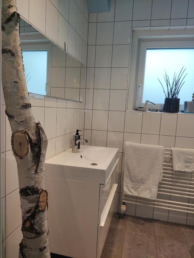 Zen Apartment - Spacious - Garden - Kitchen Karlsruhe Bagian luar foto